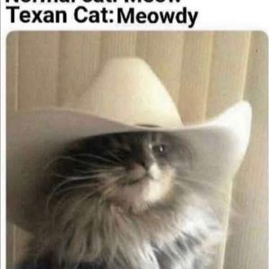 Meet your Posher, Will